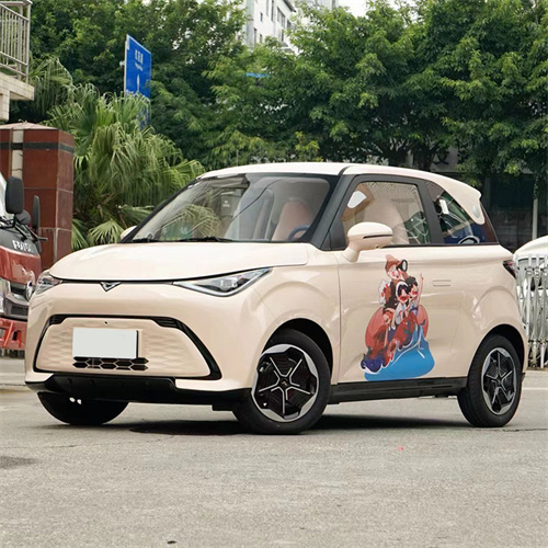 400km Small Ev